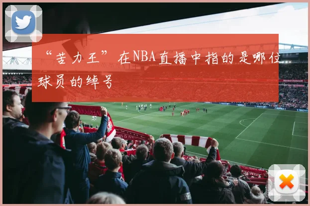 “苦力王”在NBA直播中指的是哪位球员的绰号