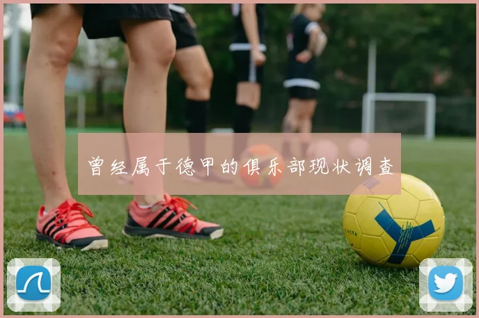 曾经属于德甲的俱乐部现状调查