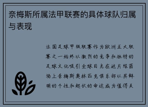 奈梅斯所属法甲联赛的具体球队归属与表现
