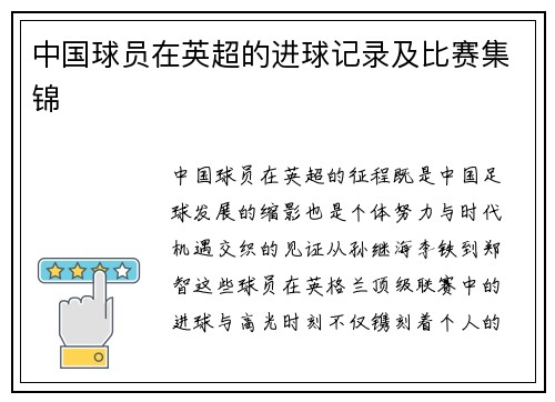 中国球员在英超的进球记录及比赛集锦
